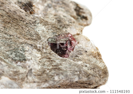 Macro stone Garnet mineral in rock on a white background 111548193