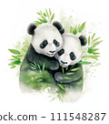 Two little panda bears with bamboo leaves contour on background. Cute little animals hug each other with love. Watercolor style, AI generated. Card with lovely illustration. 111548287