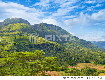 Hilly landscape of Sri Lanka. 111548731