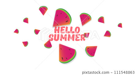 Vector Hello Summer Beach Party horizontal banner Design template with fresh watermelon slice isolated on white background. Hello summer concept label or poster with fruit and typographic text. 111548863