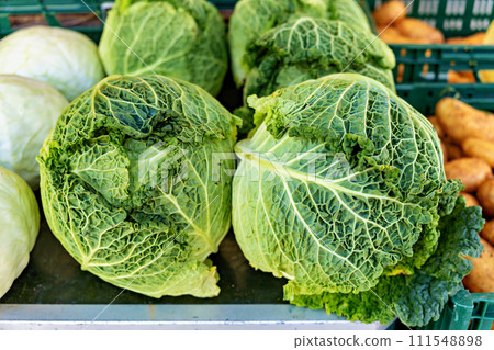 Pile of green cabbages sitting on top of wooden table next to other vegetables Pile of green cabbages sitting on top of wooden table next to other vegetables 111548898