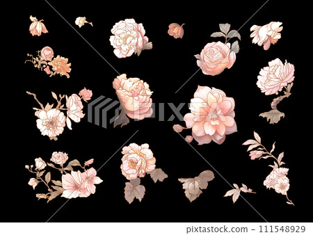 Set, element for design flowers Set, element for design flowers 111548929