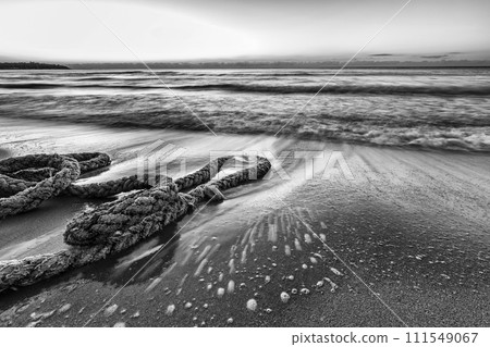 on the beach 111549067