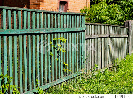 Green fence with vines growing on it is next to brick building. 111549164