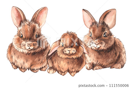 Isolated rabbits hand drawn on a white background Isolated rabbits hand drawn on a white background 111550006