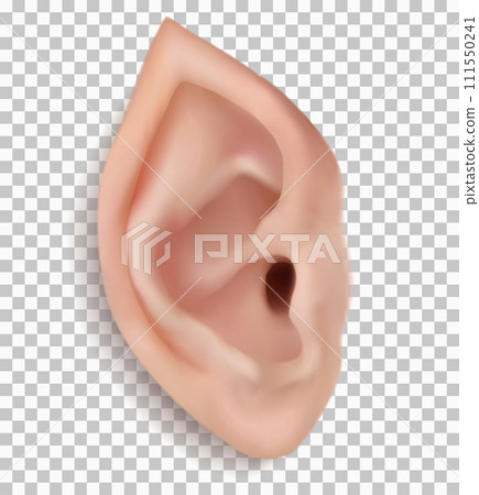 Pointy ear of elf. Realistic 3d vector elven large ear isolated on transparent background. Suitable 111550241