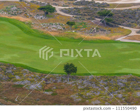 Aerial view of the gold court in California, USA. 111550490