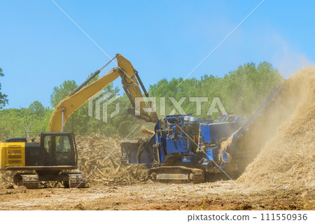 Tree roots are loaded into an industrial shredder machine chopped into wood Tree roots are loaded into an industrial shredder machine chopped into wood 111550936