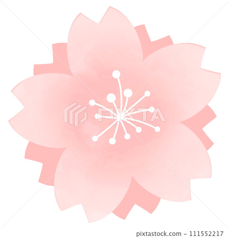 簡單的櫻花圖 簡單的櫻花圖 111552217