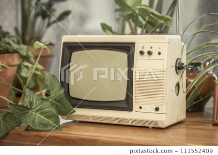 Retro tv in old room with indoor flowers 111552409