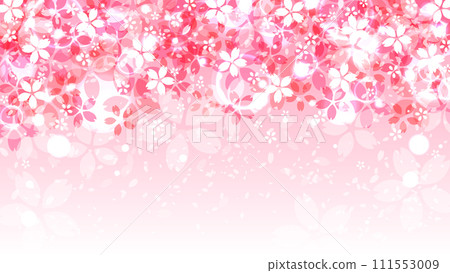 華麗的櫻花背景，16:9尺寸 111553009