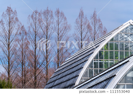 Roof of greenhouse Roof of greenhouse 111553040