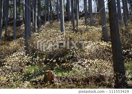 大富市，被稱為殖民地的水源村 111553429