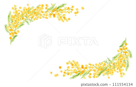 水彩。含羞草矢量插畫與水彩觸感。含羞草春天的插圖。簡單的植物背景集。 111554134