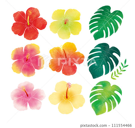 Set of watercolor hand painted hibiscus and monstera 111554466