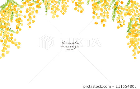 水彩。含羞草插圖與水彩風格。含羞草向量背景插畫。春天含羞草框架。 111554803