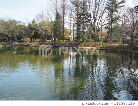 Myojyoji Park Myojyoji Park 111555129