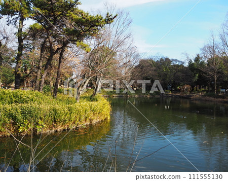 Myojyoji Park Myojyoji Park 111555130