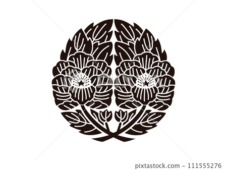 牡丹與不同的分支 111555276