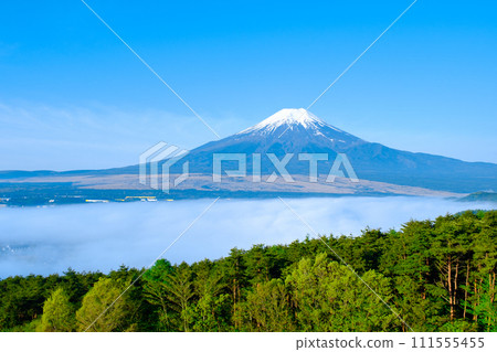 Mt. Fuji (May, from Oshino Village) Mt. Fuji (May, from Oshino Village) 111555455