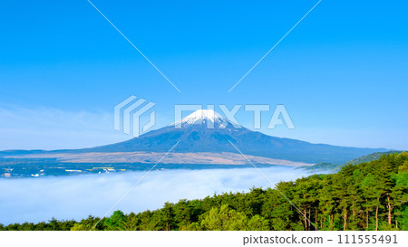 Mt. Fuji (May, from Oshino Village) Mt. Fuji (May, from Oshino Village) 111555491