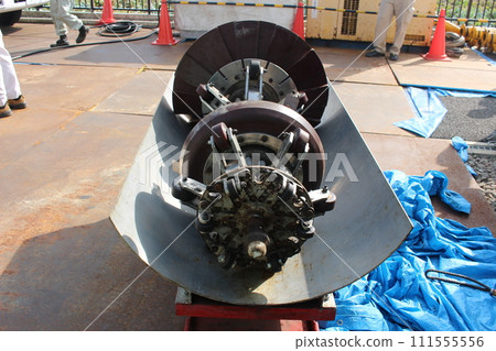 豬前面的全景 111555556