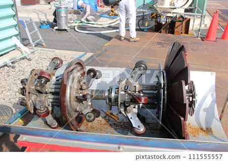 豬側面全景圖 111555557