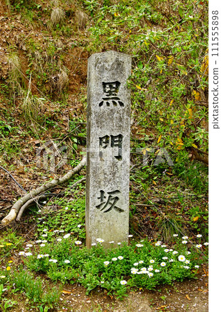 櫻花，奈良縣吉野山 111555898