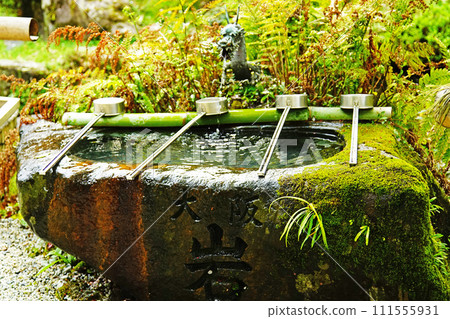 櫻花，奈良縣吉野山 111555931