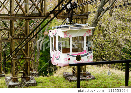 Cherry blossoms, Mt. Yoshino, Nara Prefecture Cherry blossoms, Mt. Yoshino, Nara Prefecture 111555934