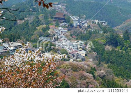 櫻花，奈良縣吉野山 111555944