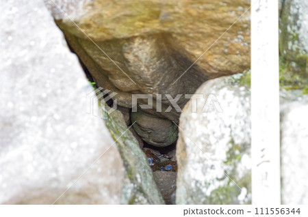Upside down Jizo at Yamatokoriyama Castle 111556344