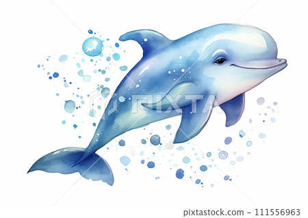 gentle touch dolphin 111556963