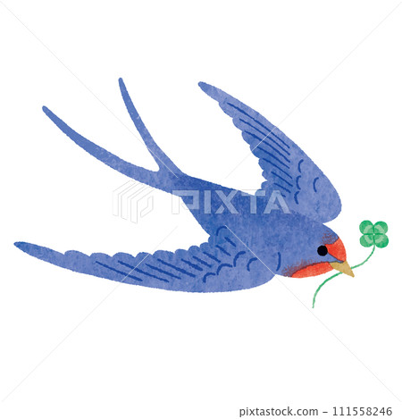 A swallow carrying a four-leaf clover of good fortune A swallow carrying a lucky four-leaf clover 111558246