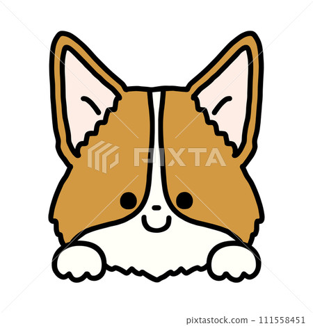 可愛的柯基犬露出它的臉 可愛的柯基犬露出它的臉 111558451