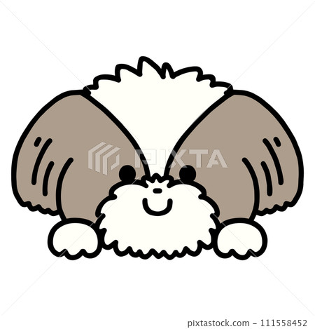 Cute Shih Tzu peeking out 111558452
