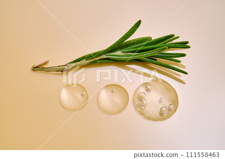 Drops of serum and a branch of fresh rosemary on a beige nude background. Drops of serum and a branch of fresh rosemary on a beige nude background. 111558463