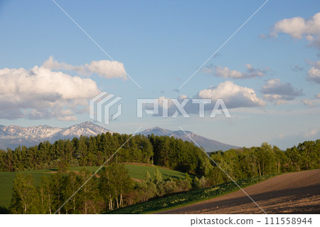 春天的小山和藍天 111558944