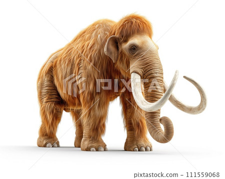 mammoth on a white background 111559068