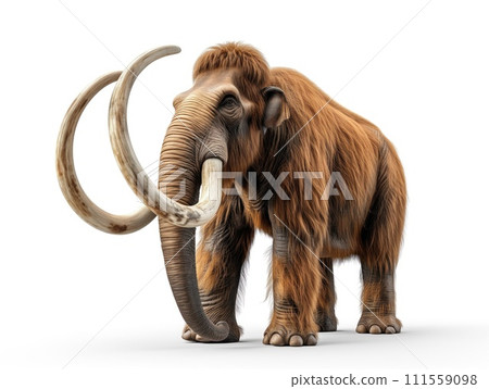 mammoth on a white background mammoth on a white background 111559098