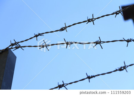 Barbed wire Barbed wire 111559203