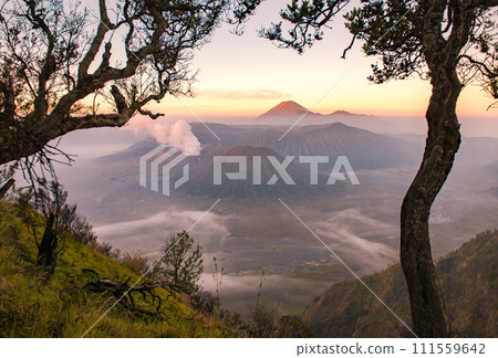 Spectacular view of Mount Bromo at dawn view look through the natural frame. This is an active volcano part of the Tengger massif, in East Java, Indonesia. Spectacular view of Mount Bromo at dawn view look through the natural frame. This is an active volcano part of the Tengger massif, in East Java, Indonesia. 111559642