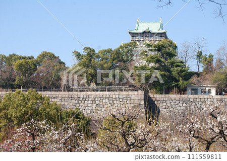 Bairin和大阪城堡城堡塔 111559811