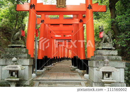 京都稻荷神社伏見稻荷大社千鳥居 京都稻荷神社伏見稻荷大社千鳥居 111560002