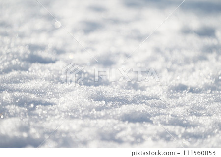 單面雪景 111560053