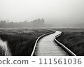 Wooden boardwalk in the swamp with fog in the background. 111561036