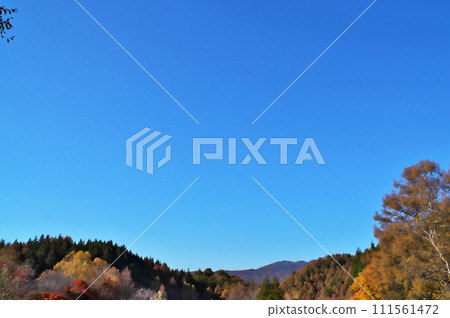 Autumn leaves maple pond Autumn leaves maple pond 111561472