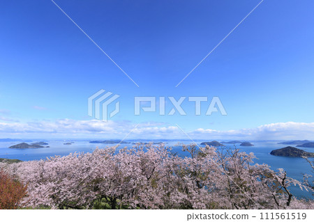 從潮出山頂公園眺望莊內半島、笠岡群島、瀨戶內海備三瀨戶的櫻花 從潮出山頂公園眺望莊內半島、笠岡群島、瀨戶內海備三瀨戶的櫻花 111561519