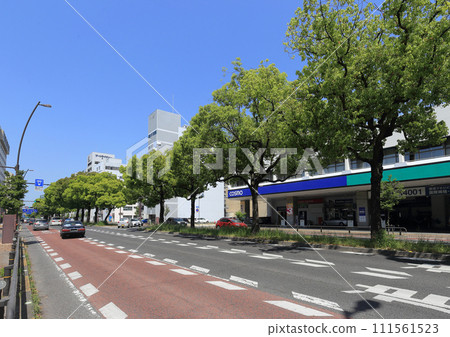 Chuo-dori in Takamatsu City (from Nakanocho to Takamatsu Station) 111561523