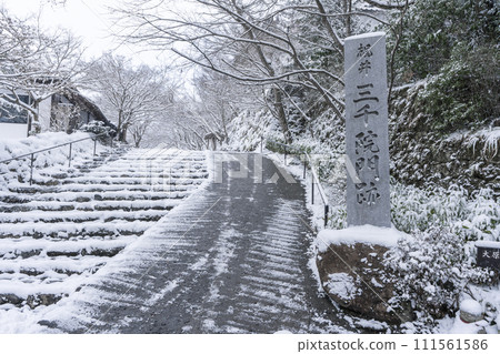 京都大原三千院雪山路 京都大原三千院雪山路 111561586
